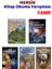 Mersin Kitap Okuma Yarışması 7.sınıf Kitapları, 5 Kitap Set, 7.sınıf Masal Öykü 1