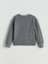 Yeni Sezon Bisiklet Yaka Kız Çocuk Sweatshirt 2