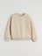 Yeni Sezon Bisiklet Yaka Kız Çocuk Sweatshirt 1