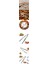 Hsnet Çelik Fındık Ceviz Kırıcı Grosseto Design - MBN8831-7684 2