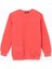 Yeni Sezon Bisiklet Yaka Kız Çocuk Sweatshirt 1