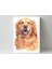 Golden Retriewer -Ahşap Mdf Tablo 3