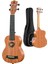 Rd-24 Concert Ukulele (Çanta Capo Askı Metod Pena) 2