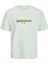 Erkek T-Shirt Jorlafayette Brandıng Tee Ss Crew Nec Ln 12250436-SKYLIGHT 1