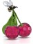 5667550 Swarovski Ev Dekorasyonu Idyllıa:bee And Cherry 1