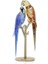 5619218 Swarovski Biblo Jungle Beats:parrot Couple 1