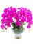 Luxury Centerpiece Mor Orkide Koku 1