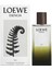 Essencia Elixir Edp 100 ml Erkek Parfüm 2