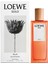Solo Ella Edp 50 ml Kadın Parfüm 2