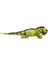 Iguana Peluş Oyuncak 66 cm 2