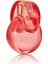 Bvl Omnia Coral Edt 100ML Parfüm 1