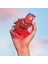 Bvl Omnia Coral Edt 100ML Parfüm 4