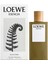 Essencia Edt 100 ml Erkek Parfüm 2
