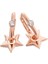 Mini Taşlı Yıldız Rose Gold Kadın Küpe 1