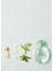 Acqua Di Gioia Edp 50 ml Kadın Parfüm 3