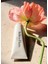Atelier Des Fleurs Perfumed Hand Cream Cedrus 50ML 3