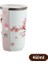 Termal Kupa Paslanmaz Çelik Protable Sakura Vakum Şişesi Yalıtımlı Su Kupası Kaplamalı Seyahat Suyu Buzlu Şişe Mutfak Aletleri Kapasite: 300ML/RENK: 460ML (Yurt Dışından) 1