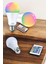 Rgb LED Lamba LED Işık Ampul Renk Değiştirebilen 100 Watt 8