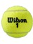 WRT125000 Roland Garros Clay Ct 3 Adet Tenis Topu 3