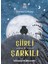 Şiirli Şarkılı 1