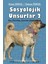Sosyolojik Unsurlar 2 / Dış Politika Üzerine Okumalar 6 1