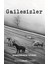Gailesizler 1