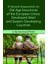 A General Assessment On Old Age Insurances Of The European Union, Developed West And Eastern Developing Countries 1
