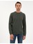 Erkek Koyu Haki Regular Fit Sweatshirt 50313944-VR111 3