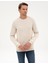 Erkek Bej Regular Fit Sweatshirt 50313991-VR011 3