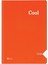 Color Cool A4 120 Yaprak Çizgili Defter Asorti Renklerle Eğlenceli Notlar İçin 8