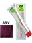 Ionic Color 85gr. 8RV E.Light Red Violet Plus 2