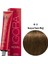 Igora Royal Saç Boyası 6-4 Koyu Kumral Bej 60ml 2
