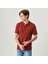 Erkek Bordo Polo Tişört 12