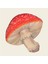 Mushroom Cocktail Napkins Pack Of 20 1