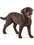 13834 Schleich - Dişi Labrador Retriever +3 Yaş 1