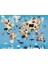 Puzzle Animals (500 Parça) 5