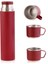 PENGUEN-1050G Bordo Gina Kamp Termosu 500ML 6