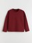 Yeni Sezon Bisiklet Yaka Kadın Sweatshirt 1