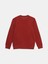 Yeni Sezon Bisiklet Yaka Uzun Kollu Erkek Kalın Sweatshirt 5