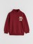 Yeni Sezon Dik Yaka Erkek Çocuk Sweatshirt 2