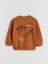 Yeni Sezon Dinozor Figürlü Erkek Çocuk Sweatshirt 2'li 2