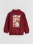 Yeni Sezon Dik Yaka Erkek Çocuk Sweatshirt 1