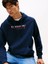 Tommy Hılfıger Erkek Marka Logolu Kapüşonlu Şık Görünüşlü Lacivert Sweatshirt DM0DM22113 C1G 2
