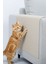 Kedi Koltuk Tırmalama Koruyucu Keçe Halı 40X50CM Bej Yapışkanlı Mobilya Tırmalama Önleyici Koruma Halısı 2
