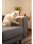 Kedi Koltuk Tırmalama Koruyucu Keçe Halı 40X50CM Bej Yapışkanlı Mobilya Tırmalama Önleyici Koruma Halısı 4
