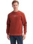 Erkek Bisiklet Yaka Sweatshirt CAZ.53315 2
