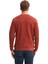 Erkek Bisiklet Yaka Sweatshirt CAZ.53315 3