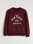 Yeni Sezon Bisiklet Yaka Baskılı Erkek Sweatshirt 5