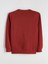 Yeni Sezon Bisiklet Yaka Erkek Sweatshirt 2