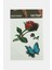 Ds-Derin Gül Tattoo Dövme Sticker-Beyaz 1